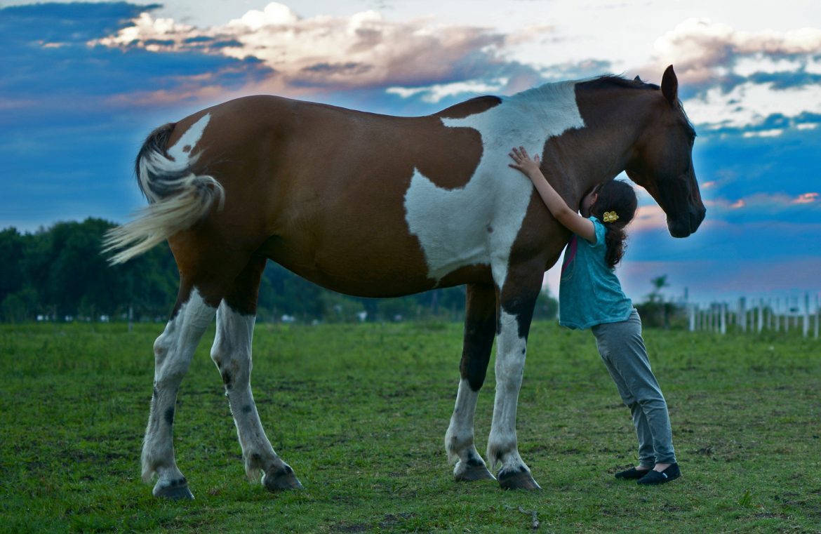 Hipoterapia equinoterapia Hipoterapia o equinoterapia: uso de caballos en la terapia física y mental